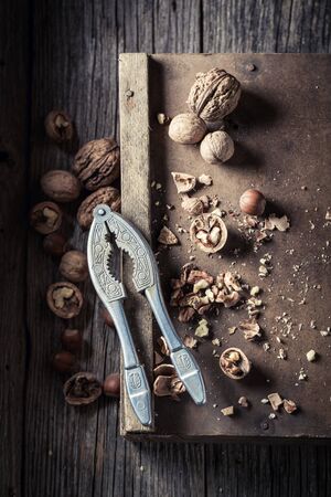 Delicious walnuts and hazelnuts with with old nutcrackerの写真素材