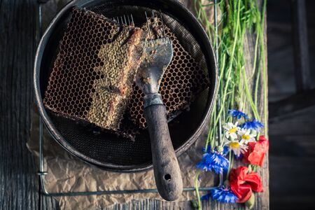 Rusty tools for beekeeping with honeycombs, hats and honey