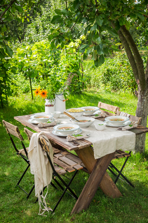 Fresh and tasty chicken soup with fresh vegetablesの写真素材