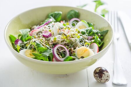 Closeup of salad with onion, quail egg and sproutsの写真素材