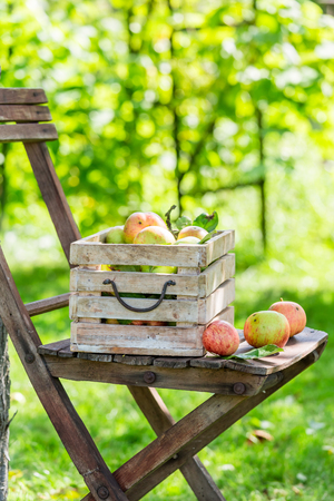 Healthy red apples in wooden box in sunny dayの写真素材