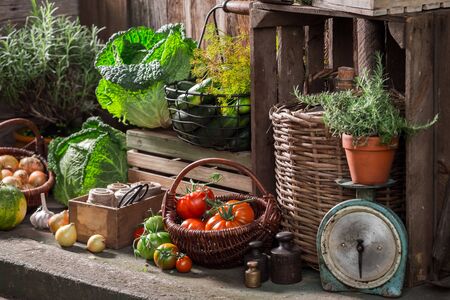 Old basement full of supplies harvested in summerの写真素材
