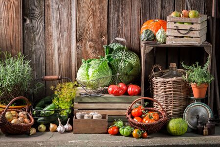 Garden with harvested vegetables and fruits in autumnの写真素材