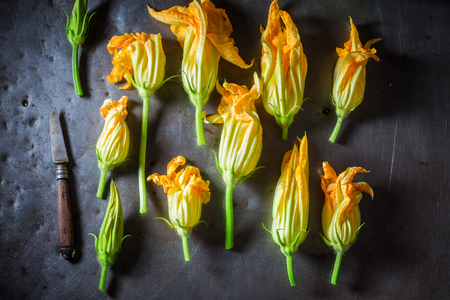 Ingredients for crispy roasted zucchini flower on metal tableの写真素材