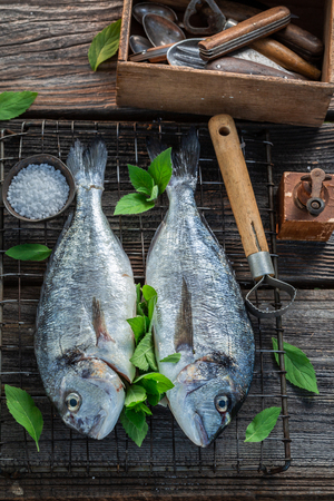 Preparing freshly caught fish with lime and mint leavesの写真素材