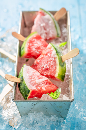 Fresh watermelon ice cream on cold iceの写真素材