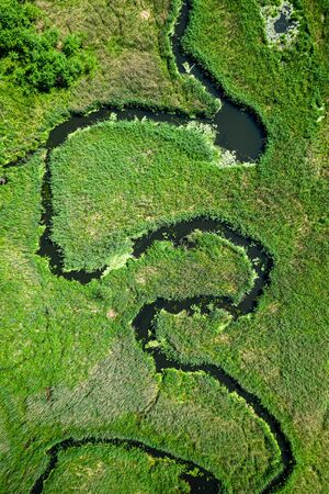 Winding river among the green swamps, from above, Polandの写真素材