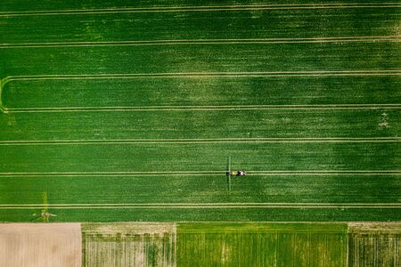 Big green field with tractor trails, aerial view of Polandの写真素材