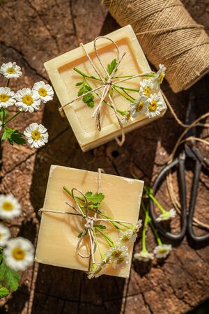 Healthy and natural chamomile soap good for skinの写真素材