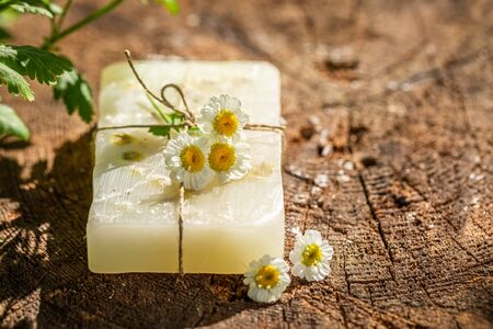 Aromatic and ecological chamomile soap good for skinの写真素材
