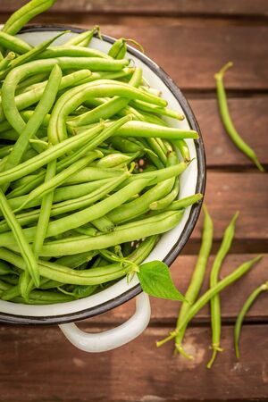 Top view of fresh green beans in summer greenhouseの写真素材