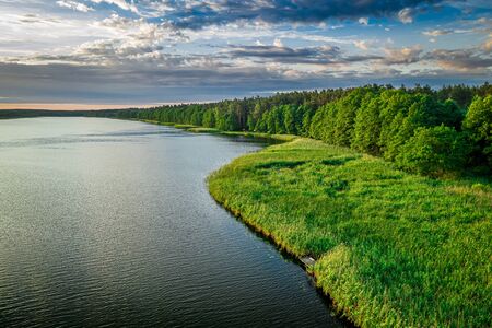 Aerial view of lake and shore with green reed