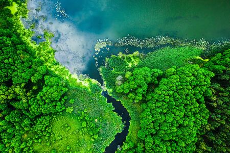 Strange blooming algae on the lake in summer, flying aboveの写真素材