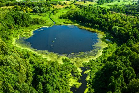Stunning green algae on the lake in summer, flying aboveの写真素材