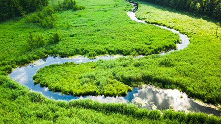 Small winding river among green swamps, aerial viewの写真素材