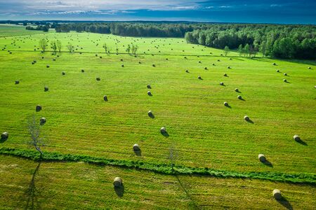 Sheaves of hay on green field in summer in Polandの写真素材