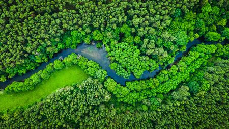 River and green forest in Tuchola natural park, aerial viewの写真素材