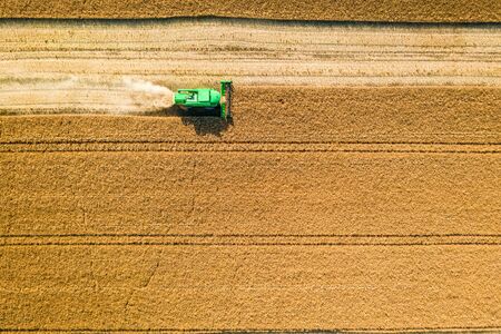 Flying above small harvester working on big field