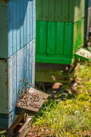 Closeup of old beehives in the summer garden