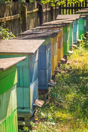 Wooden beehives in the summer garden, Europe