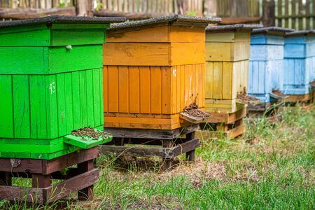 Wooden apiary in summer sunny day, Polandの写真素材