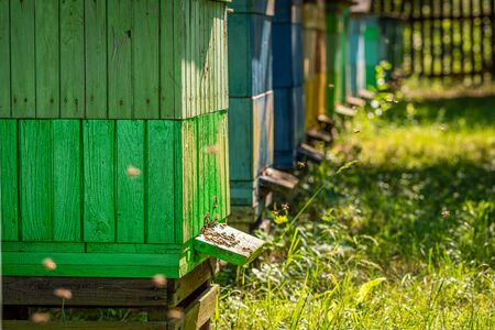Ecological apiary with bees, summer in countrysideの写真素材