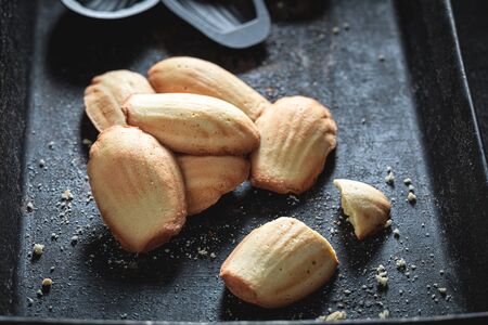 Hot Madeleine cookies baked in small shell shaped moldの写真素材