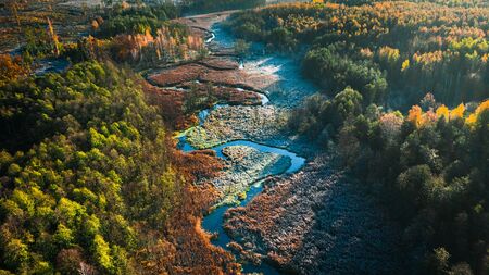 Frozen swamps and forest in autumn, view from aboveの写真素材