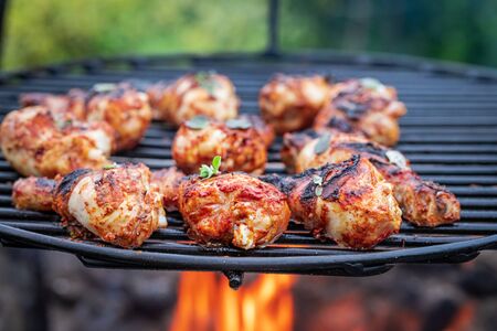 Hot and spicy grilled chicken leg in summer gardenの写真素材