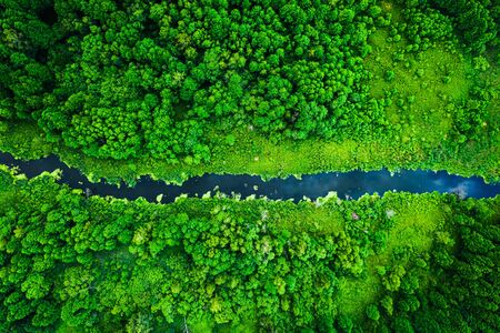 Stunning blooming algae on the river in summer, flying above