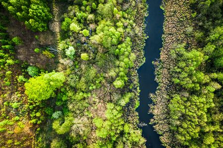 Aerial view of river and green forest in Polandの写真素材