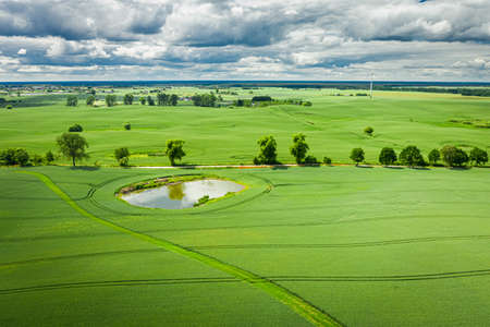 Amazing aerial view of green field in summerの写真素材