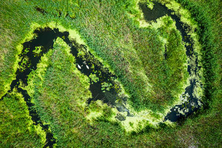 Aerial view of blooming algae on the river in springの写真素材