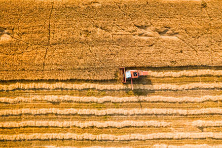 Top view of red harvester on field in summer, Poland