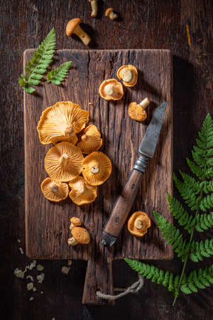 Closeup of fresh and wild chanterelle mushrooms on old wooden boardの写真素材