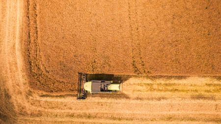 Top view of yellow combine harvesting field in Poland, Europeの写真素材