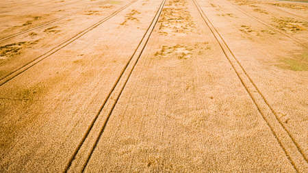 Aerial view of wind damage in a field in summer, Poland