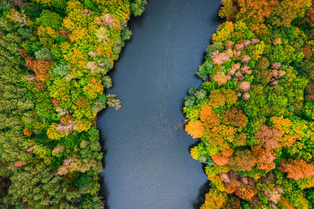 Top down view of big river and colorful forest, Poland