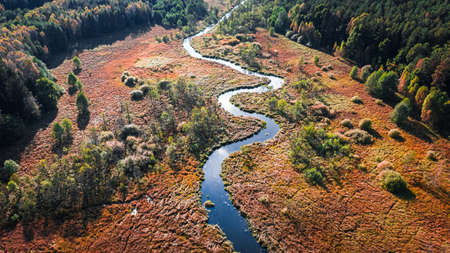Brown swamps and small river in autumn, aerial view, Poland
