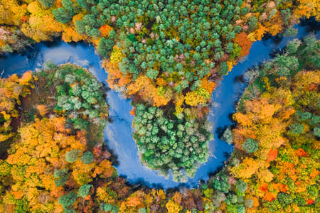 Aerial view of blue river and colorful autumn forest, Poland, Europeの写真素材