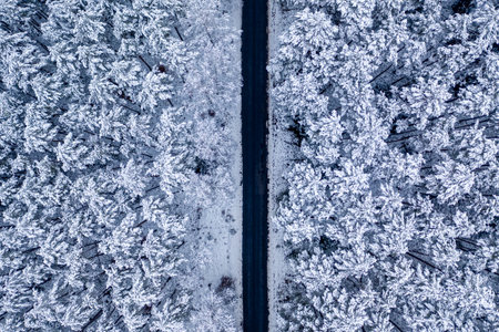 Top view of black asphalt road in frozen woods, Polandの写真素材
