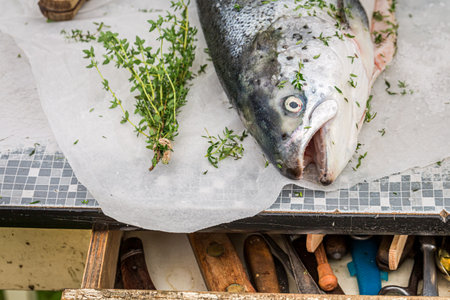 Chopping fresh atlantic salmon with herbs and lemon in summerの写真素材