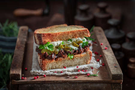 Homemade sandwich with shredded beef and gherkin with herbs and sauce. American street food.の写真素材