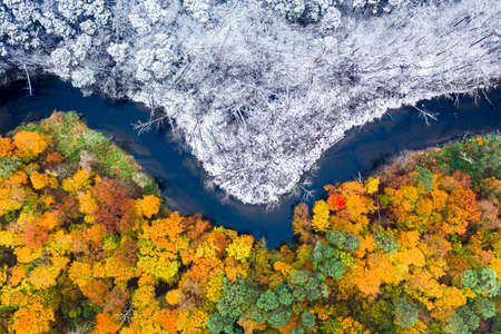 Winter is coming. Snowy and colorful forest. Winter and autumn in one place. Aerial view of nature in Polandの写真素材