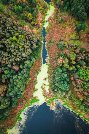 Green algae and swamps in autumn. Aerial view of wildlife in Poland, Europe