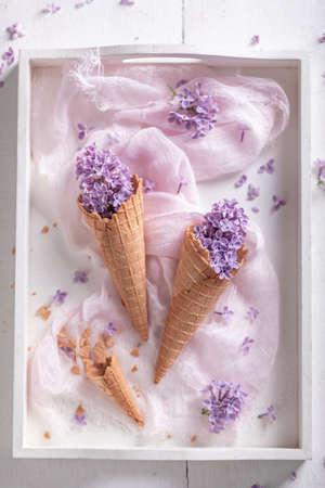 Beautiful lilac flowers in wafer cone. Concept for gift card. Beautiful background for a gift card.の写真素材