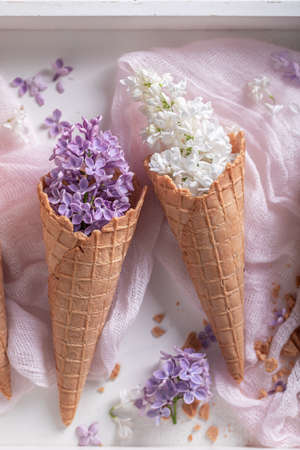Gorgeous lilac flowers in wafer cone. Concept for gift card. Beautiful background for a gift card.の写真素材