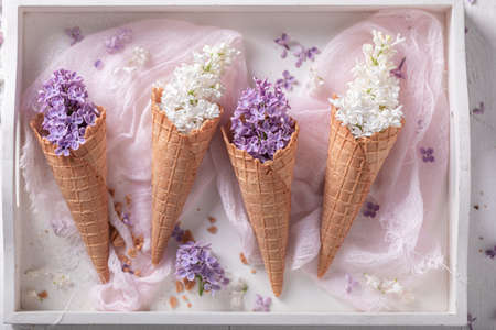 Unique lilac flowers as ice cream. Unique floral arrangement Beautiful background for a gift card.の写真素材