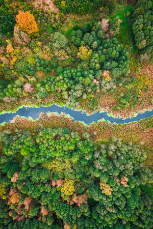 River and brown swamp. Aerial view on wildlife in autumn. Nature in Europe.の写真素材