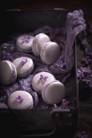 Delicious violet lilac macaroons. Creative dessert compositions. Beautiful background for a gift card.の写真素材